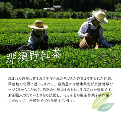 烏山製茶工場 | 那須野和紅茶 選べるお試しセット