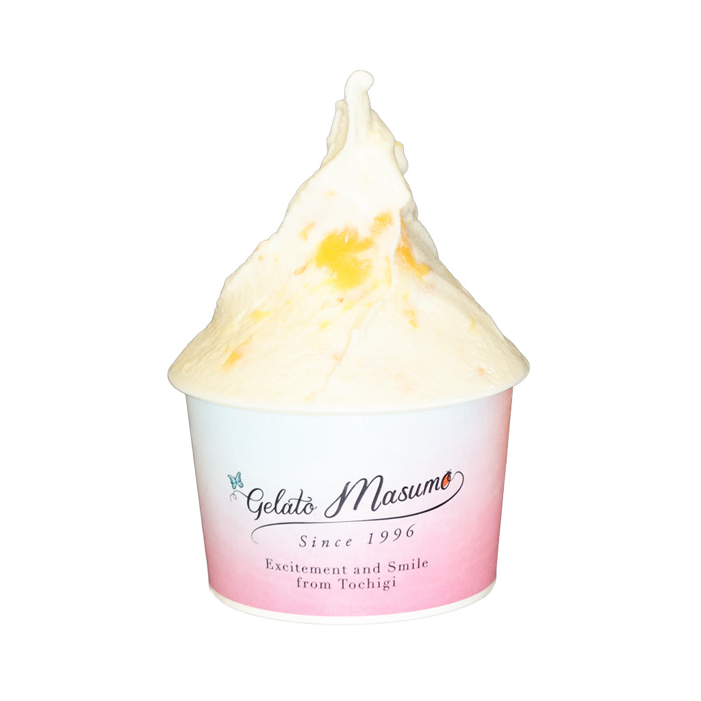 ジェラートマスモ | 『シーズナル』人気ジェラート12点セット – 福田屋