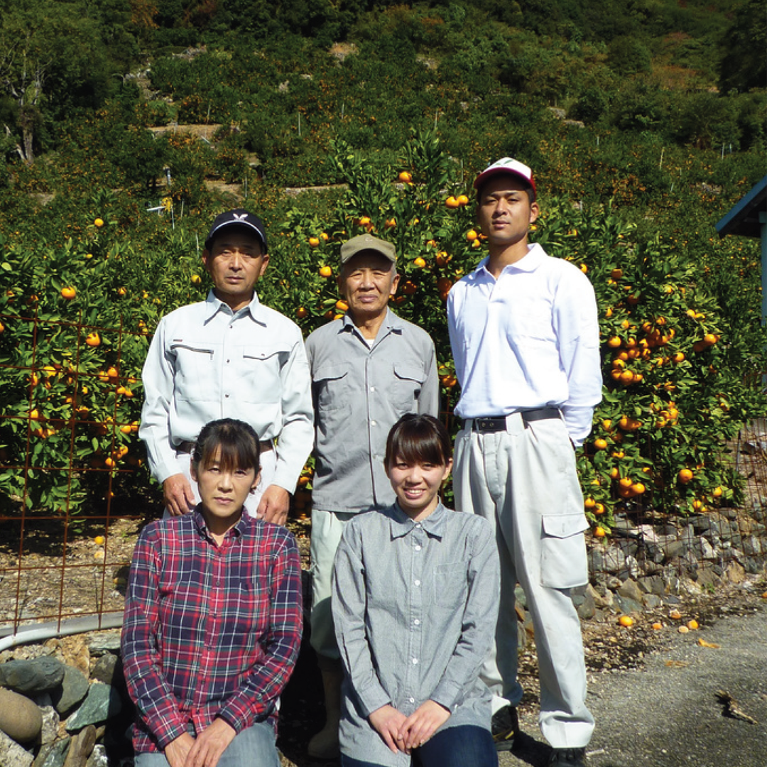 【和歌山県産】吉田農園三代みかん 約３kg入1箱（L～Sサイズ指定不可）【ご予約商品 10月25日頃より順時発送】