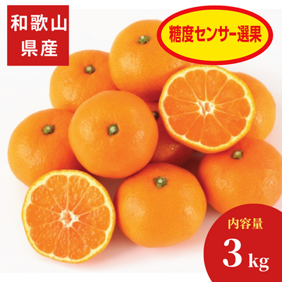 【和歌山県産】吉田農園三代みかん 約３kg入1箱（L～Sサイズ指定不可）【ご予約商品 10月25日頃より順時発送】