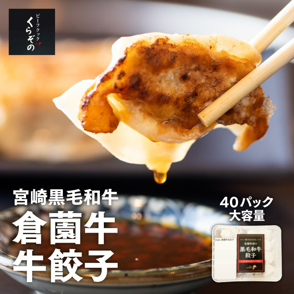 倉薗牛牛餃子 1ケース40パックセット