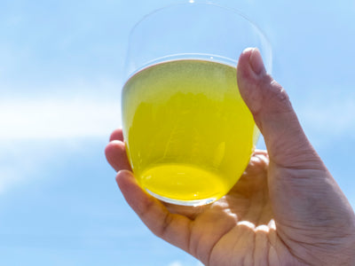 まごころ製茶 16本入り（1本350ml）　静岡県産茶葉使用