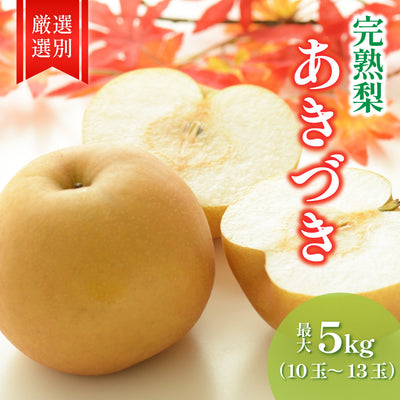 栃木のおいしい完熟梨 あきづき 大玉4Lサイズ 10～13玉 約5kg【ご予約商品 9月16日頃より順時発送】 ｜ 栃木県産品 宇都宮市