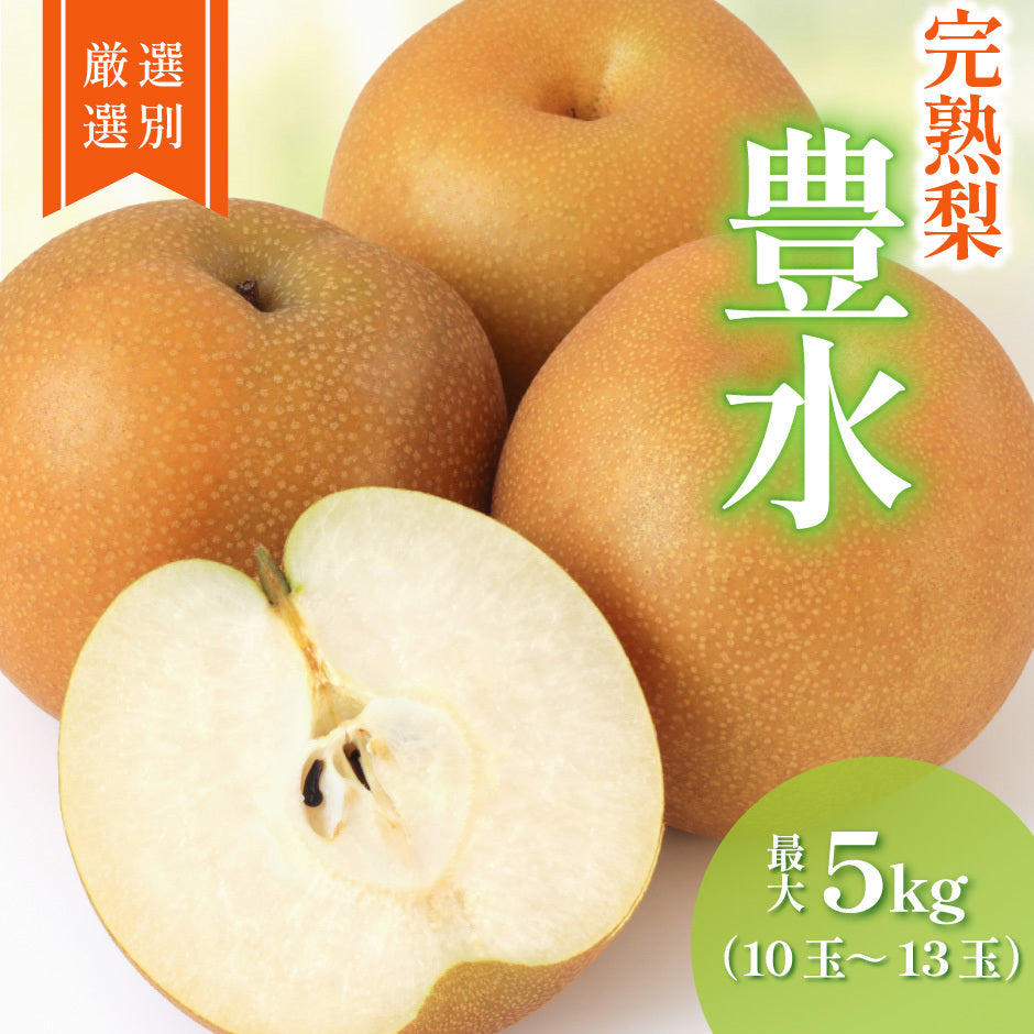 栃木のおいしい完熟梨 豊水  10～13玉 約5kg【ご予約商品 9月13日頃より随時発送】 ｜ 栃木県産品 宇都宮市