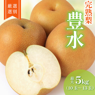 栃木のおいしい完熟梨 豊水  10～13玉 約5kg【ご予約商品 9月13日頃より随時発送】 ｜ 栃木県産品 宇都宮市