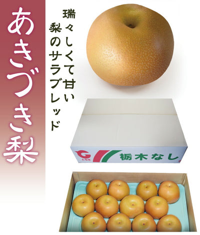 栃木のおいしい完熟梨 あきづき 大玉4Lサイズ 10～13玉 約5kg【ご予約商品 9月16日頃より順時発送】 ｜ 栃木県産品 宇都宮市