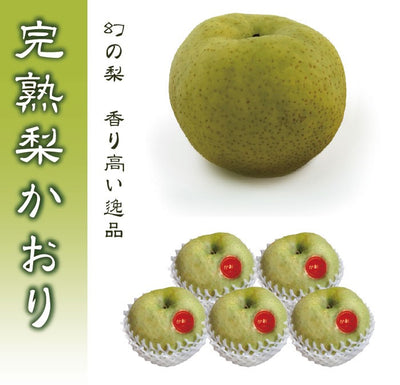 栃木のおいしい完熟梨 かおり 大玉 5玉 約4.5kg 【ご予約商品 9月30日頃より順時発送】 ｜ 栃木県産品 宇都宮市