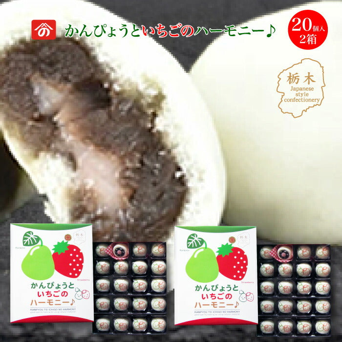 かんぴょうといちごのハーモニー 20個入 2箱 ｜ 本州送料無料 栃木県が誇る 生産量日本一の特産品コラボ スイーツ 栃木のいちごと栃木の干瓢がまんじゅうでドッキング 食物繊維とビタミンCが手軽にとれる お子様や女性に大人気スイーツ  野沢商店 栃木県産品上三川町 FN0Z5