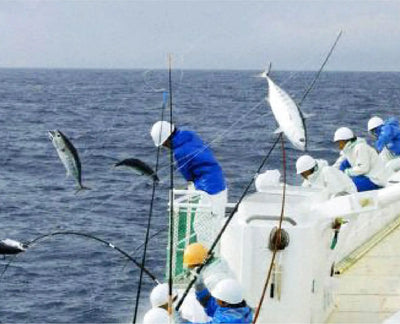 土佐久礼「ど久礼もん」のかつおの藁焼きタタキ（旬凍）3-4人前　天日塩