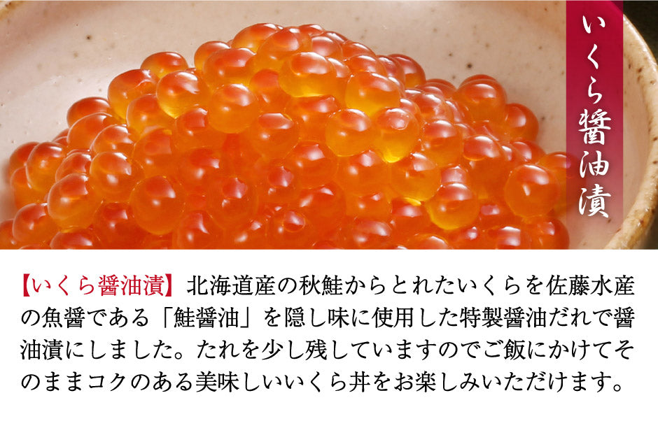 北海道産の鮭切身2種と北海道を代表する珍味3種の北海道を堪能できるセット　佐藤水産 石狩鮭工房 FA-110T  FN0M6