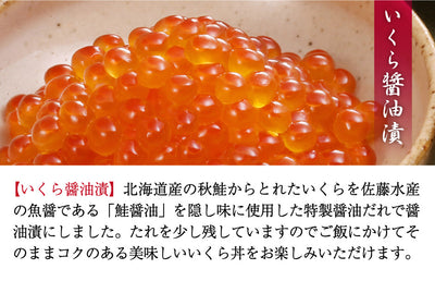 北海道産の鮭切身2種と北海道を代表する珍味3種の北海道を堪能できるセット　佐藤水産 石狩鮭工房 FA-110T  FN0M6