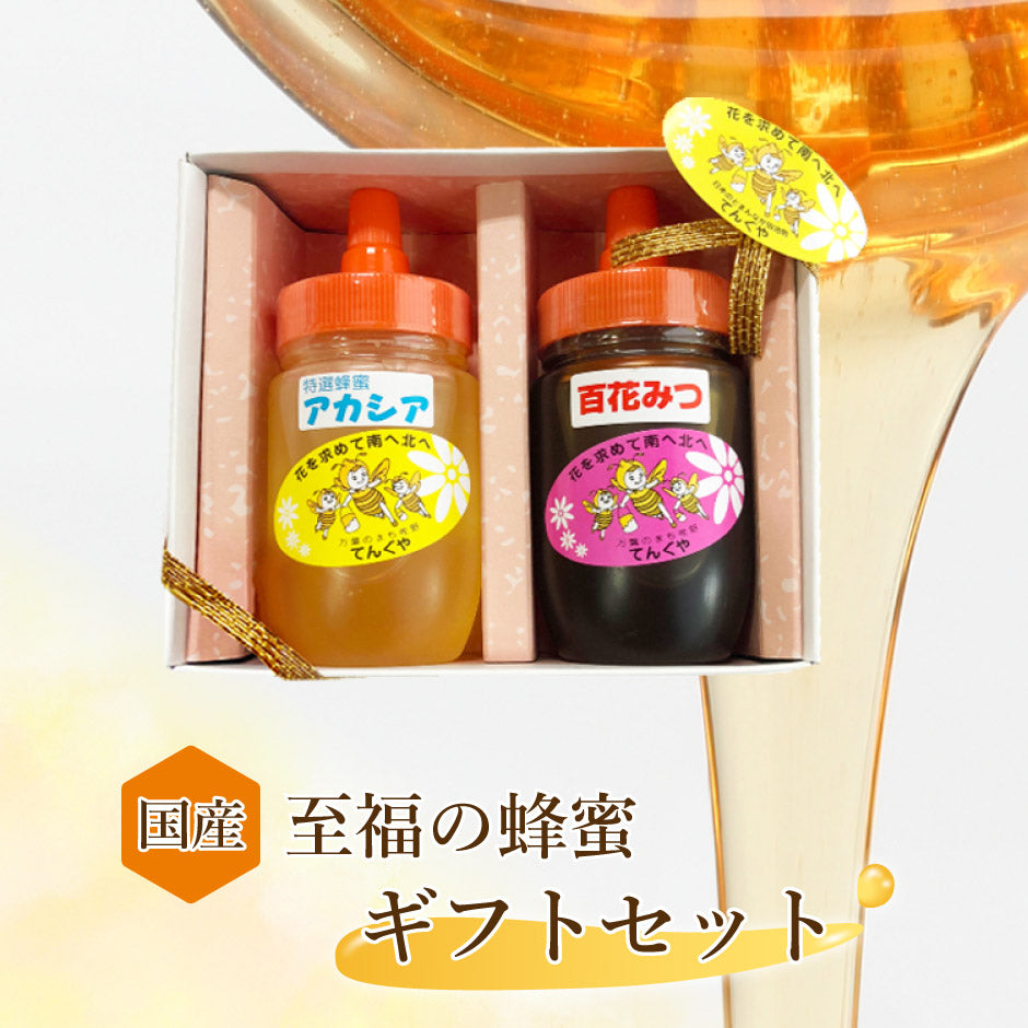国産 特選はちみつ アカシア 百花みつ 150g 2本セット ｜ 栃木県産品 佐野市 天狗屋養蜂店 国産 純粋蜂蜜 はちみつ HONEY アカシア 無加工 非加熱 スイーツ ドリンク 朝食 料理 とんがり容器