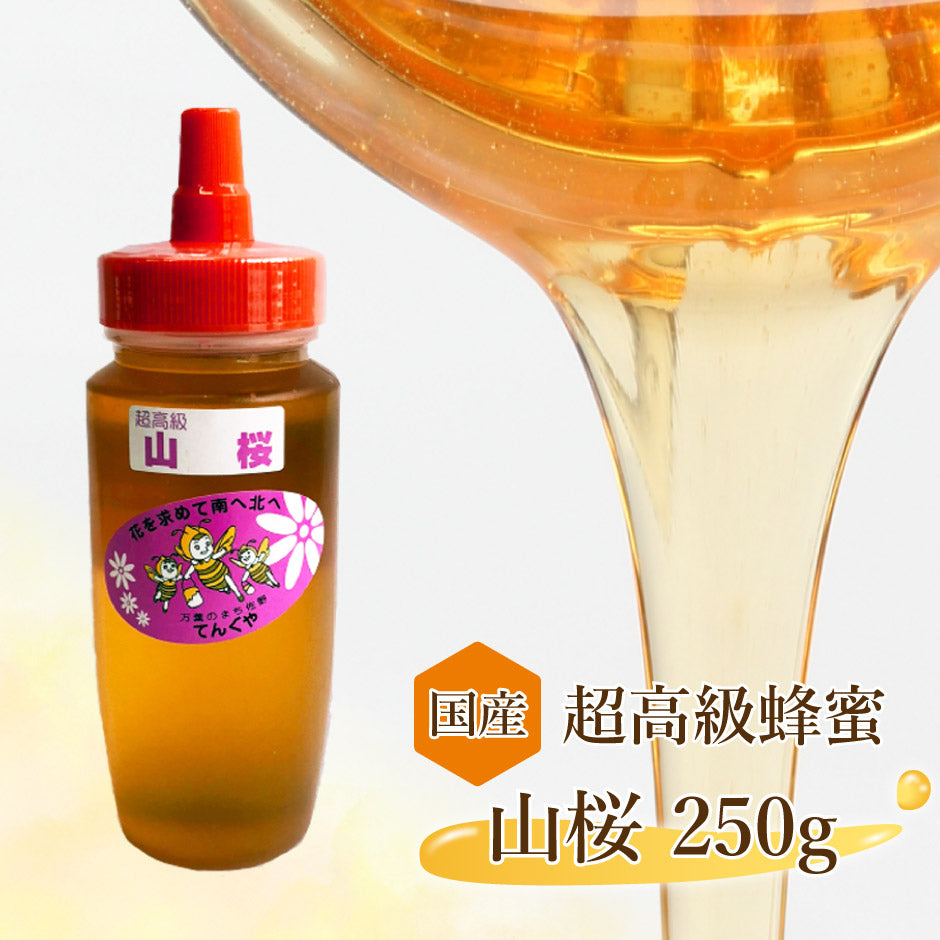 国産 超高級はちみつ 山桜 250g 1本 ｜ 栃木県産品 佐野市 天狗屋養蜂店 国産 純粋蜂蜜 はちみつ HONEY さくら 無加工 非加熱 スイーツ ドリンク 朝食 料理 とんがり容器