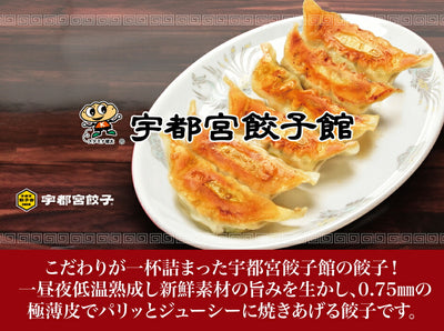 宇都宮餃子館 いろいろ楽しめる! 食べ比べ８色セット8種64個