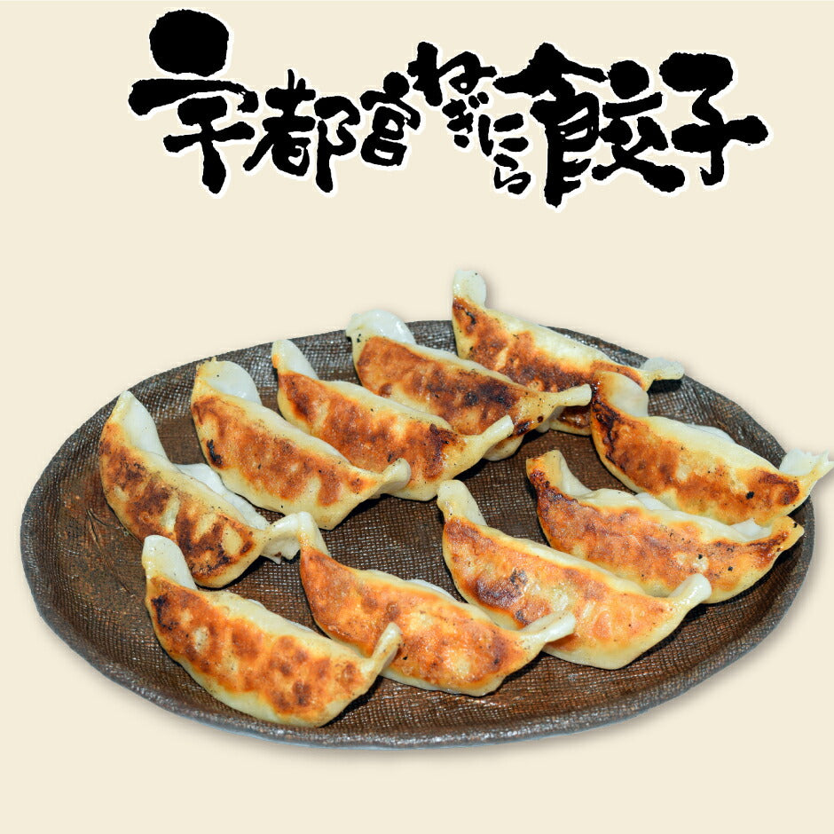 焼餃子 宇都宮ねぎにら餃子＆日光しもつかれ餃子 2種2箱セット FN046