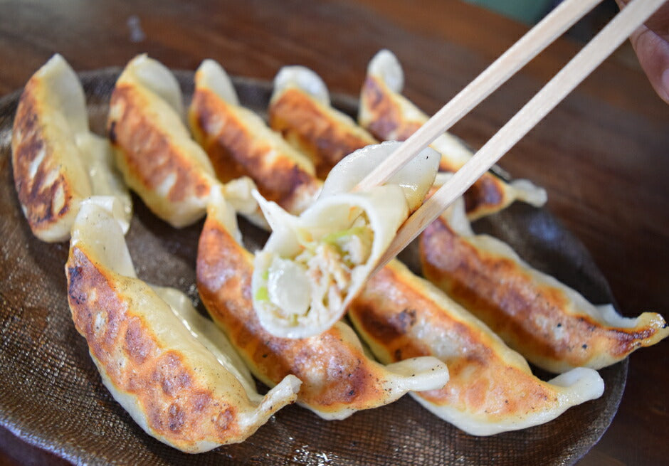 焼餃子 宇都宮ねぎにら餃子＆日光しもつかれ餃子 2種2箱セット FN046