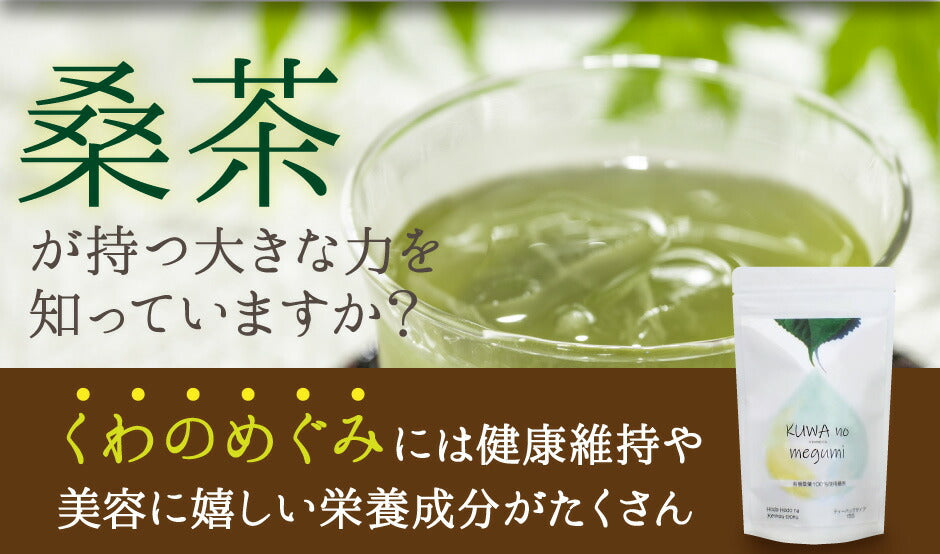 群馬県産有機桑葉100%使用 桑茶 くわのめぐみ ティーバッグタイプ 15包入り1袋  ｜ ベジタルアドバンス 無添加 健康茶 ノンカフェイン マルベリーティー 【送料込】