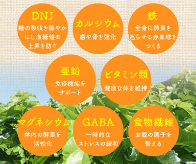 群馬県産有機桑葉100%使用 桑茶 くわのめぐみ ティーバッグタイプ 15包入り3袋  ｜ ベジタルアドバンス 無添加 健康茶 ノンカフェイン マルベリーティー【送料込】