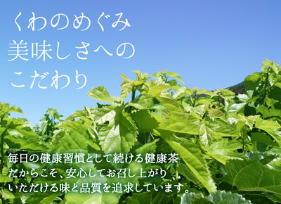 群馬県産有機桑葉100%使用 桑茶 くわのめぐみ ティーバッグタイプ 15包入り1袋  ｜ ベジタルアドバンス 無添加 健康茶 ノンカフェイン マルベリーティー 【送料込】
