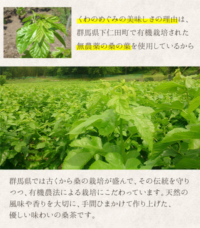 群馬県産有機桑葉100%使用 桑茶 くわのめぐみ ティーバッグタイプ 15包入り3袋  ｜ ベジタルアドバンス 無添加 健康茶 ノンカフェイン マルベリーティー【送料込】