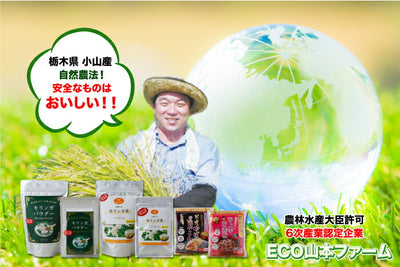 モリンガ茶 5包入 2袋セット（10包） ｜ 栃木県産品 小山市 ECO山本 栃木県産モリンガ若葉100％使用 無農薬 化学肥料不使用 ミラクルツリー GABA 鉄分 食物繊維 ポリフェノール カルシウム ビタミンC ポスト投函【全国送料込】