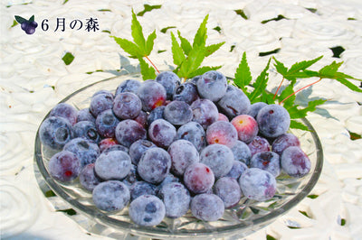 6月の森 ブルーベリーチーズケーキ 6月の雪 ｜ 栃木県産品 佐野市 FN015