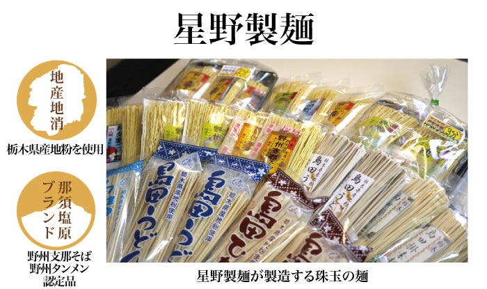 星野製麺 野州ちゃんぽん 10食セット ｜ 栃木県産品 那須塩原市 FN0WT