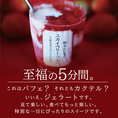 ジェラートマスモ | 栃木県産いちごジェラートの食べ比べセット