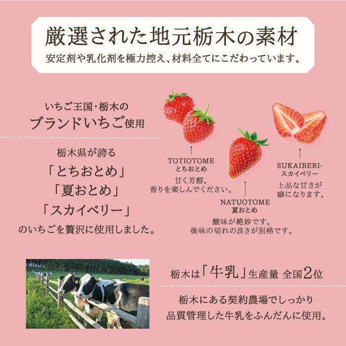 ジェラートマスモ | 栃木県産いちごジェラートの食べ比べセット – 福田
