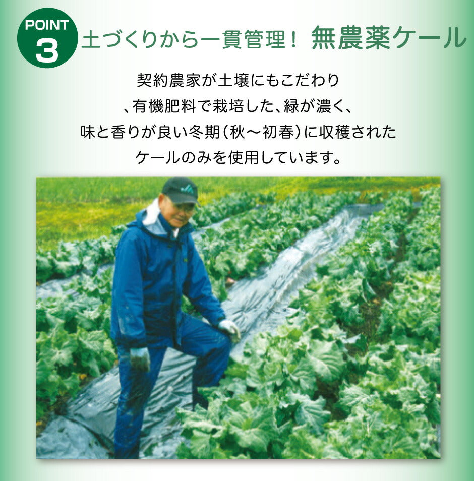 まろやかGREEN ケール青汁 100g入り 2種セット