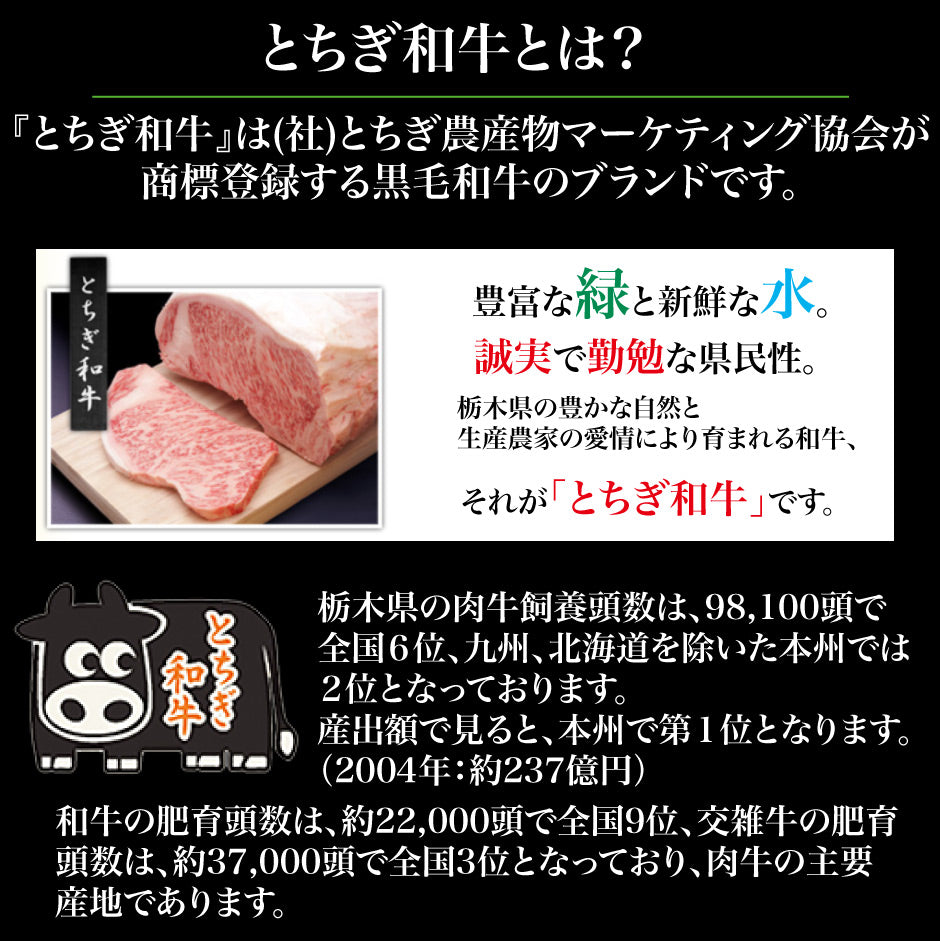 とちぎ和牛 とちぎ和牛サーロインステーキ 200g×2枚 ｜ 栃木県産品 矢板市 肉の山久 FN00G